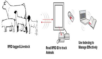 rfid cattle tracking system colorado|HerdView®.